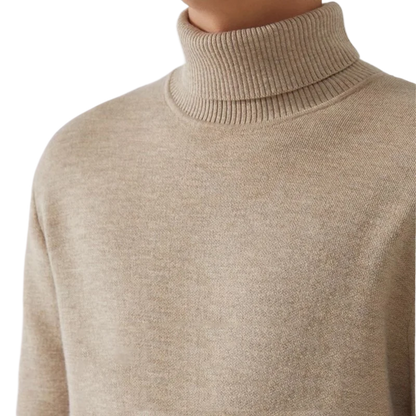 Lilyleeds| Men's Knitted Turtleneck Sweater